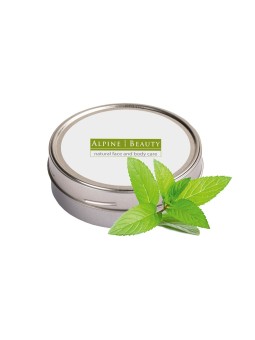 Raumbeduftung Spear Mint