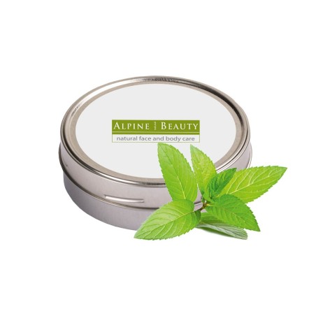 Profumazione stanza Spear Mint