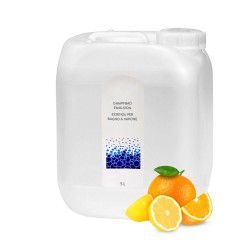 Dampfbademulsion Citrone-Orange 5l