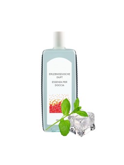 Essenza per doccia Menta fredda 1l
