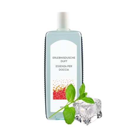 Essenza per doccia Menta fredda 1l