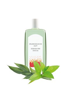 Duft für Erlebnisdusche Eukalyptus-Menthol 1l