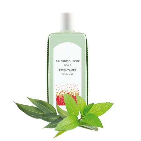 Essenza per doccia Eucalipto-Menta 1l
